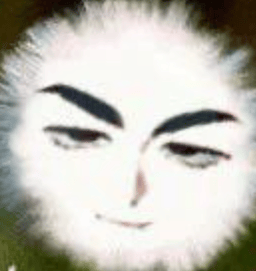 Japanese Mogging Dandelion